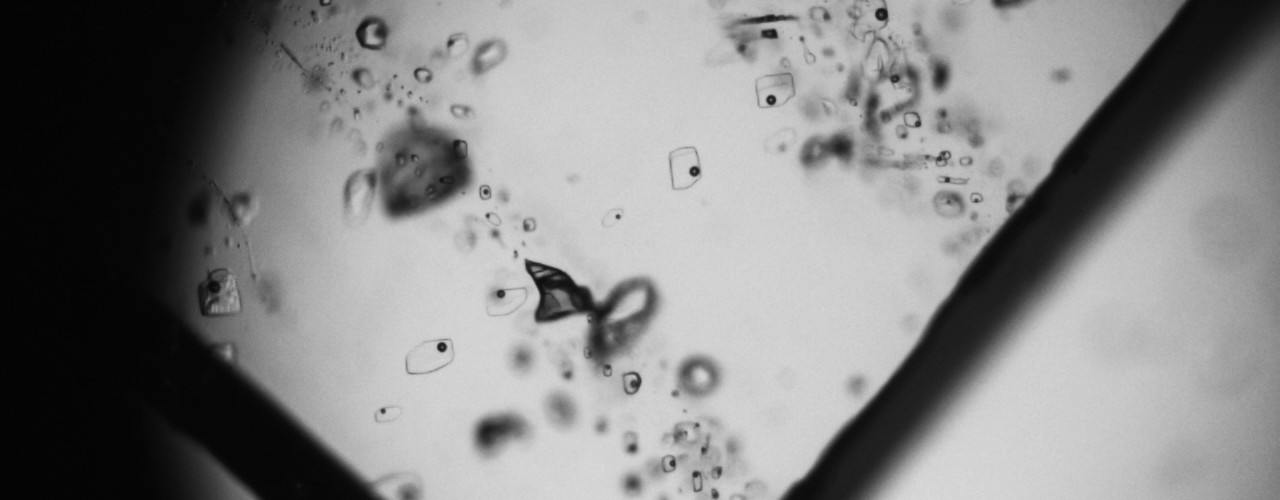 Fluid inclusions image 1