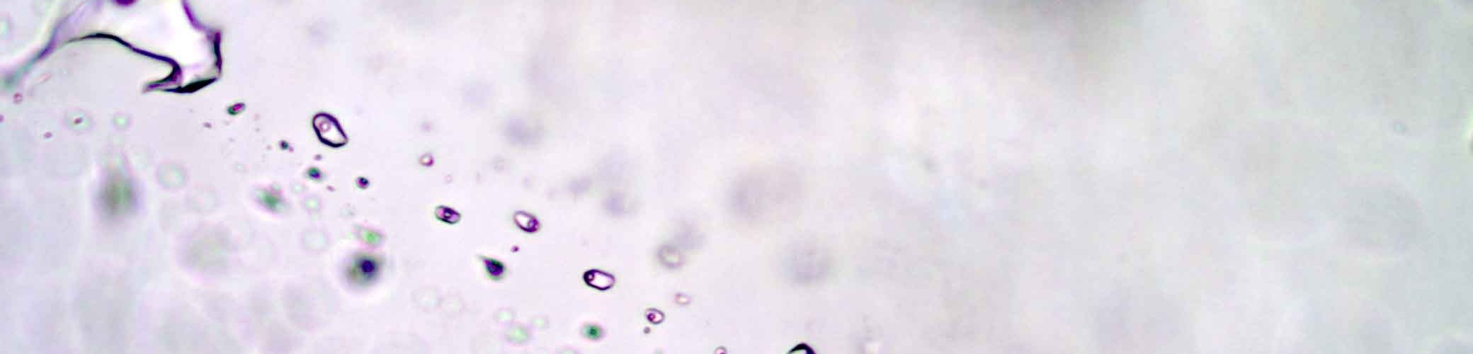 Image inclusions fluides 4 - microthermo